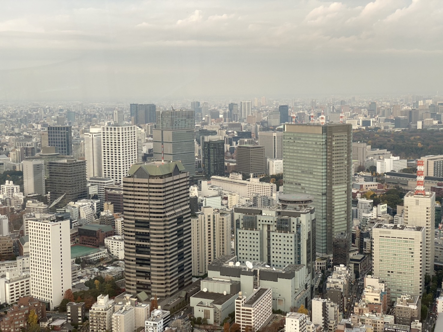 リッツカールトン東京　宿泊記　カールトンスイート