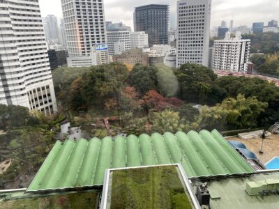 客室からの景色