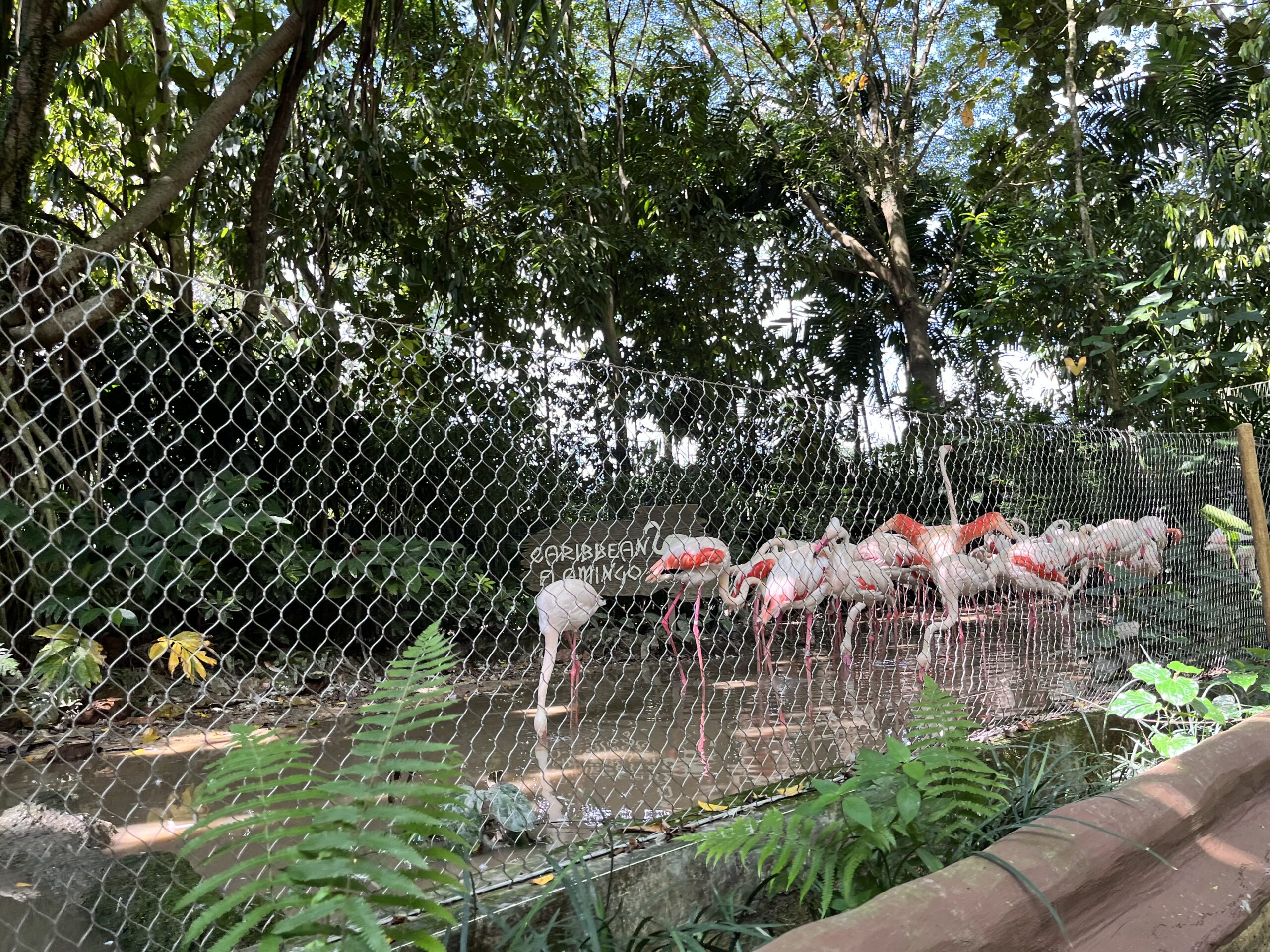 シンガポール　リバーサファリ　リバーワンダー